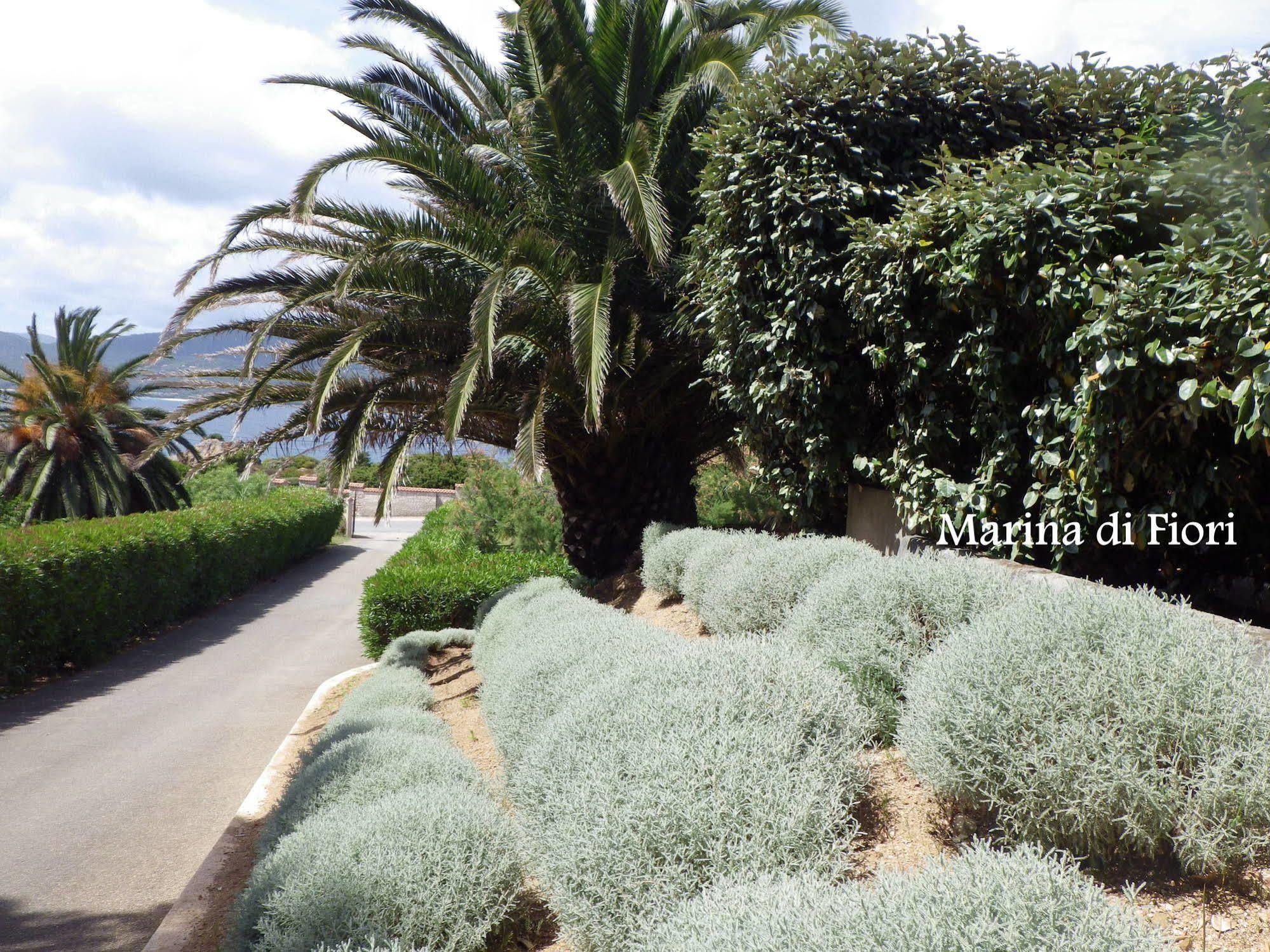 Marina Di Fiori Appartement Propriano  Buitenkant foto